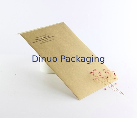 CMYK che stampa il corriere Packing Bags di Kraft 9.5x14.5cm